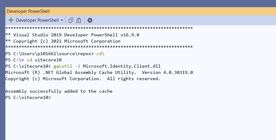 Add Microsoft.Identity.Client to Global Assembly Cache (GAC)